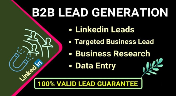 I will provide b2b lead generation linkedin lead business research and data entry for you