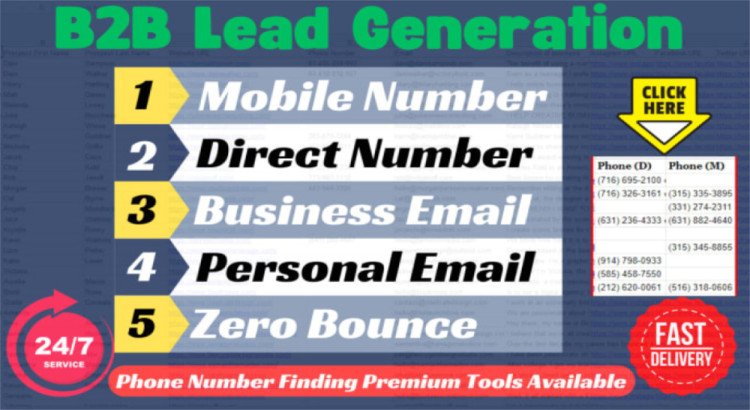 I will provide b2b lead generation and email scraping.