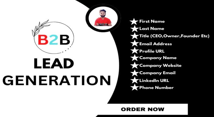 I will provide b2b targeted b2b lead generation for any industry.