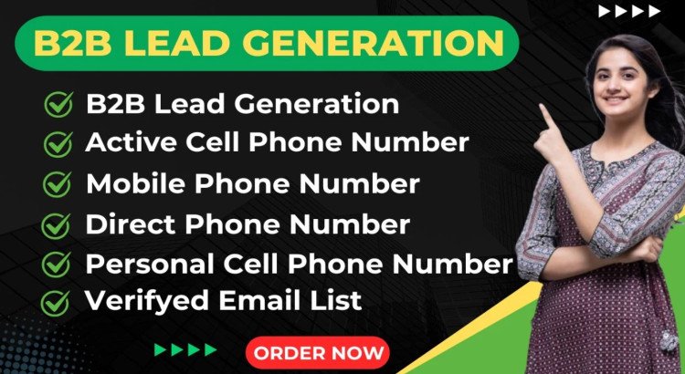 I will provide b2b lead generation for any industry.