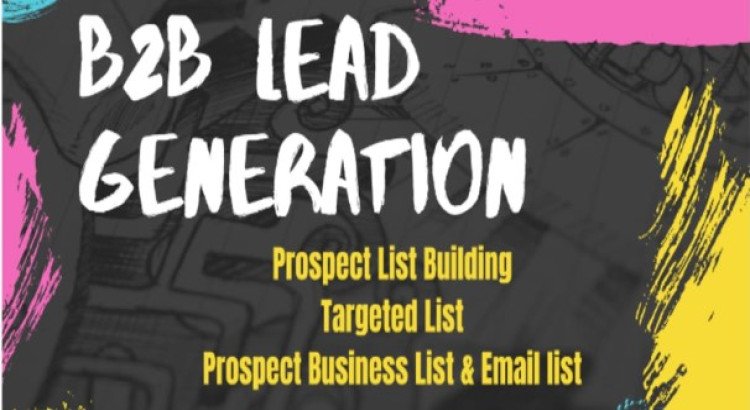 I will provide b2b lead generation and prospect list building.