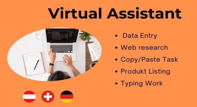 I will provide your virtual assistant for data entry and web research.