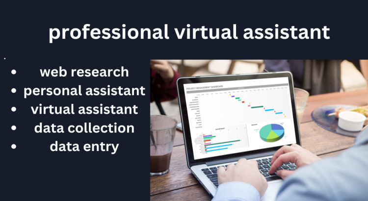 I will help you by providing Virtual Assistant for Web Research, Data Entry only for $2 hours.