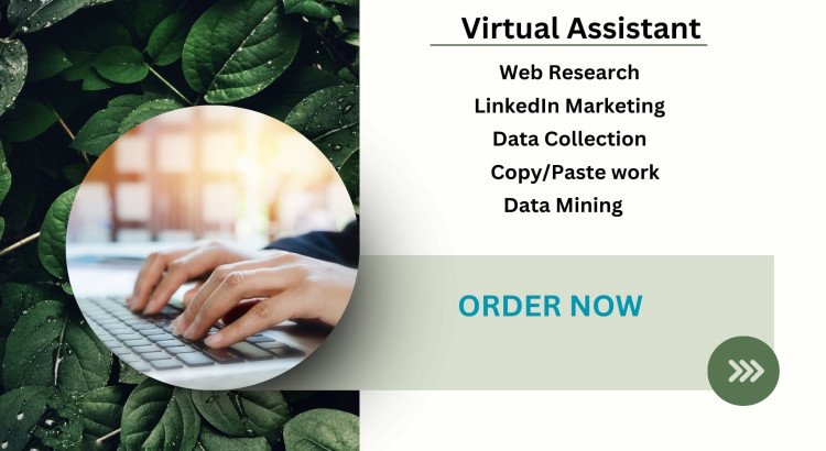 I will assist you with virtual assistant tasks, including web research, for just $2 per hour.