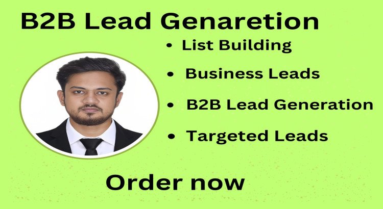 I will provide professional B2B lead generation and business web research services