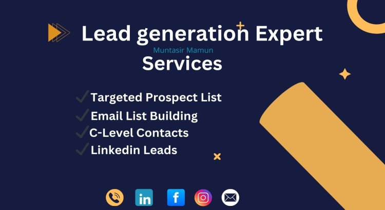 I will provide professional B2B lead generation and business web research services.