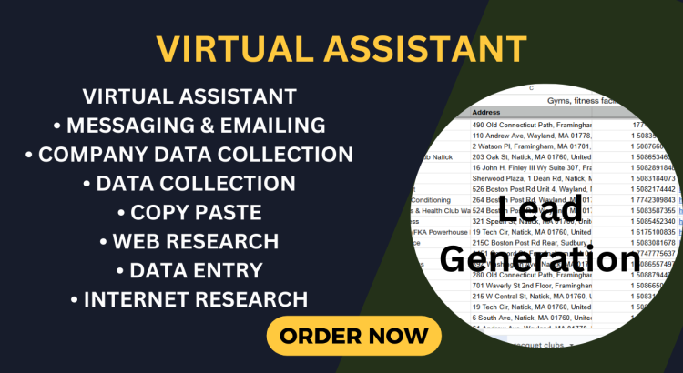 I will help you by providing Web Research and B2B Lead Generation only for $2 hours