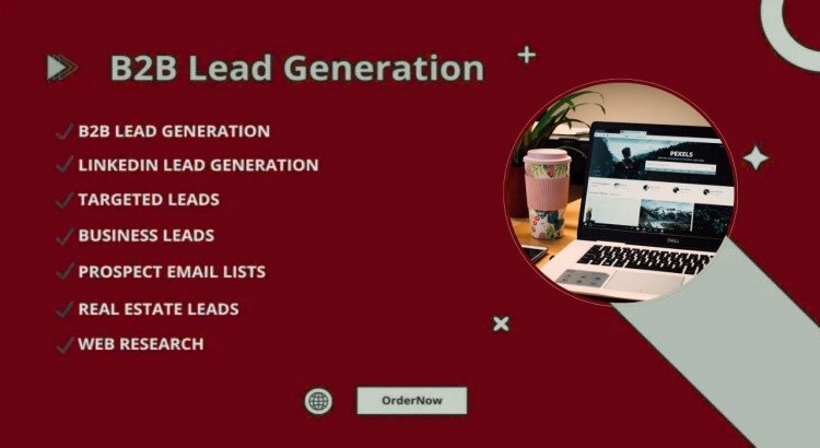 "Professional B2B lead generation and email list building services starting at $2 per hour.