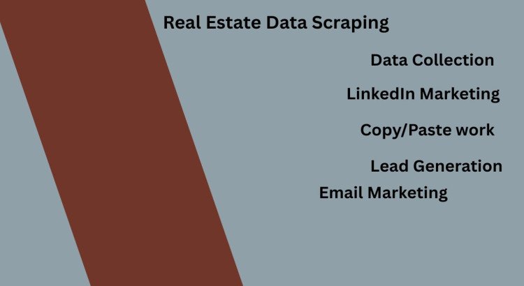 "I will scrape real estate data professionally