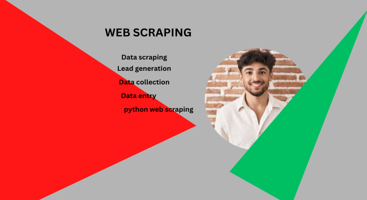 I offer expert Python web scraping, data mining, and clean data extraction services