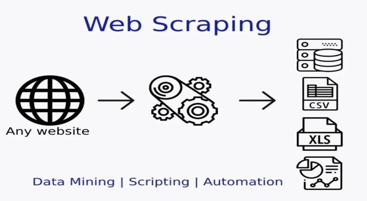 You will get Web Scraping scripts/ Web Crawling Service/ Automation bot/ API integration.
