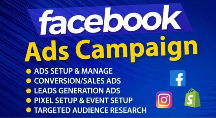 I will run professional Facebook advertising and page promotion.