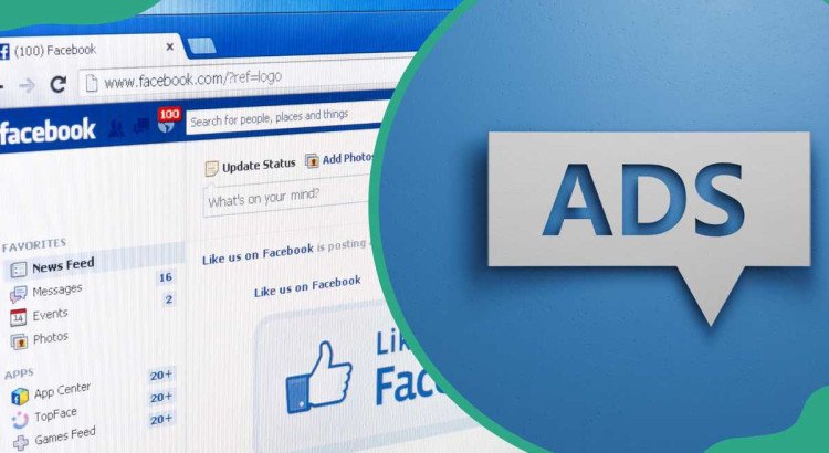 I will handle Facebook marketing, ad campaigns, and page promotion.