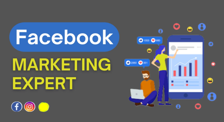 I will run high converting facebook and instagram ad campaigns-33