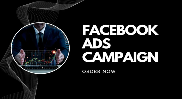 I will setup facebook ads campaign meta ads for fb advertising